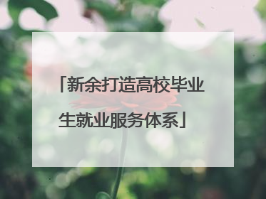 新余打造高校毕业生就业服务体系